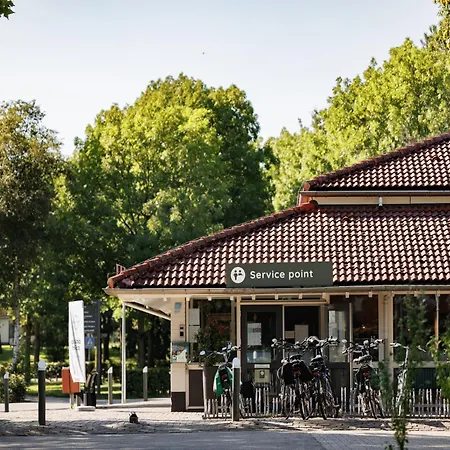 Luxurious With Sauna And Dishwasher Near A Reserve Holiday home Weert